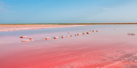 Lago Koyashskoye o Koyashs'ke